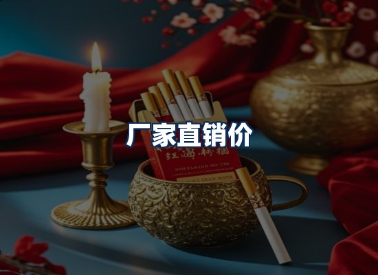 专业团队办公环境